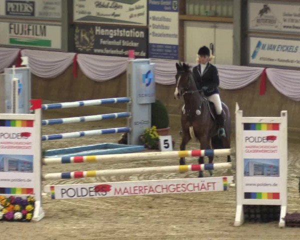 Reitturnier Goch 2016