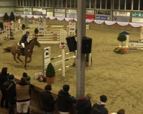 Reitturnier Goch 2016