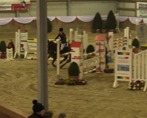 Reitturnier Goch 2016
