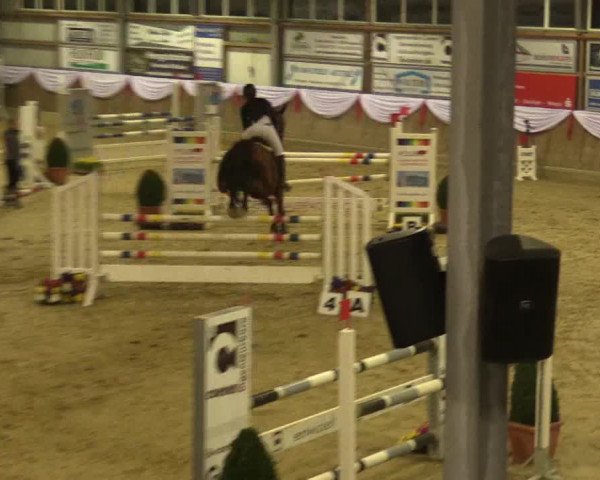 Reitturnier Goch 2016