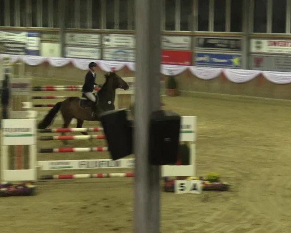 Reitturnier Goch 2016