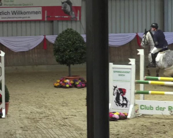 Reitturnier Goch 2016