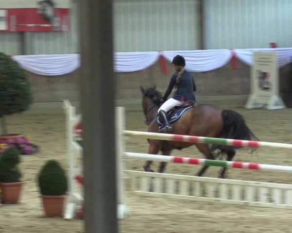 Reitturnier Goch 2016