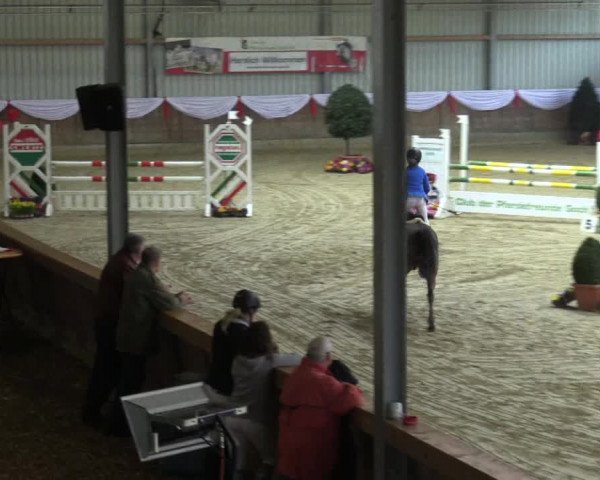 Reitturnier Goch 2016
