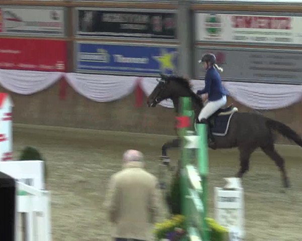 Reitturnier Goch 2016