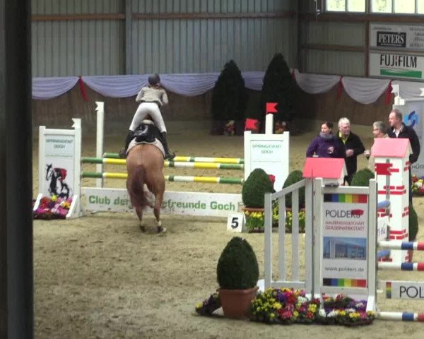 Reitturnier Goch 2016