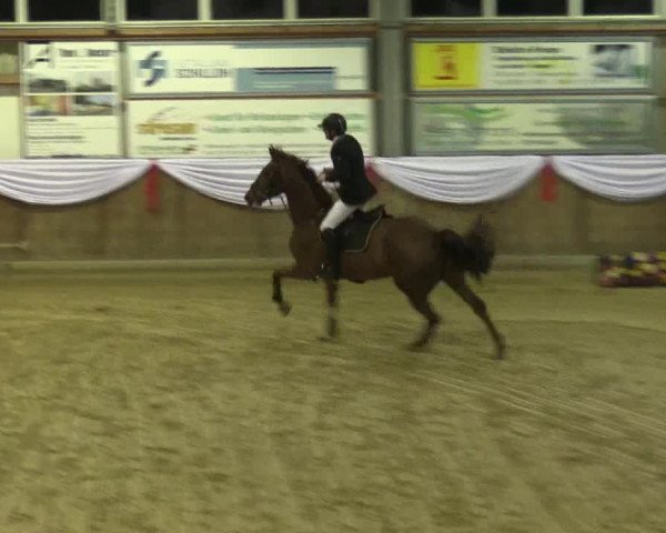 Reitturnier Goch 2016