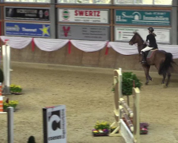 Reitturnier Goch 2016