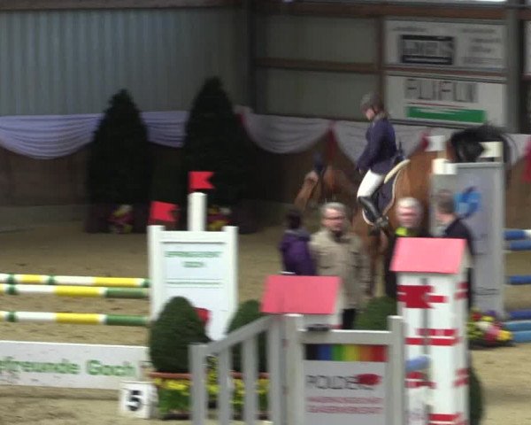 Reitturnier Goch 2016
