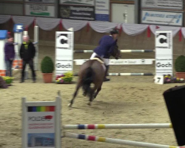 Reitturnier Goch 2016