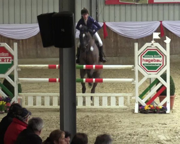 Reitturnier Goch 2016
