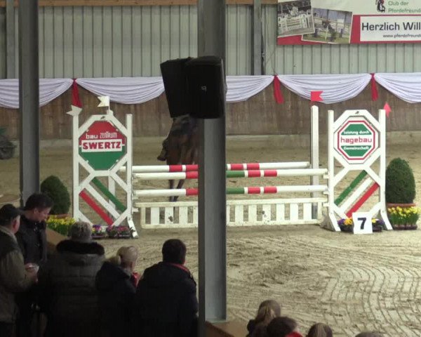 Reitturnier Goch 2016