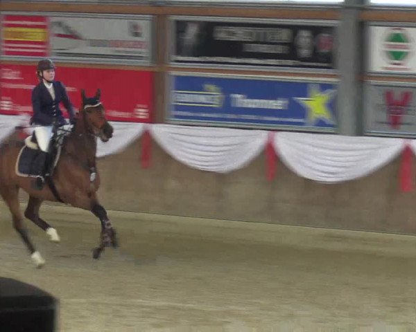 Reitturnier Goch 2016