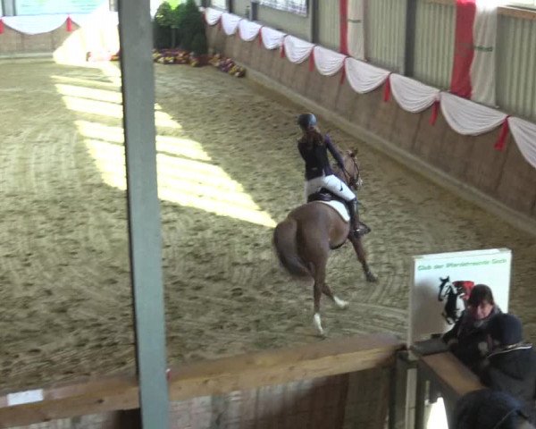 Reitturnier Goch 2016