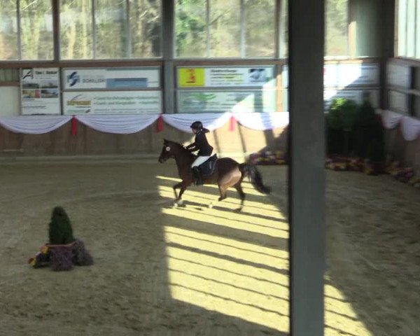 Reitturnier Goch 2016