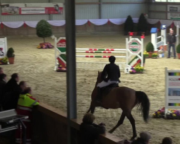 Reitturnier Goch 2016