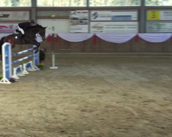 Reitturnier Goch 2016