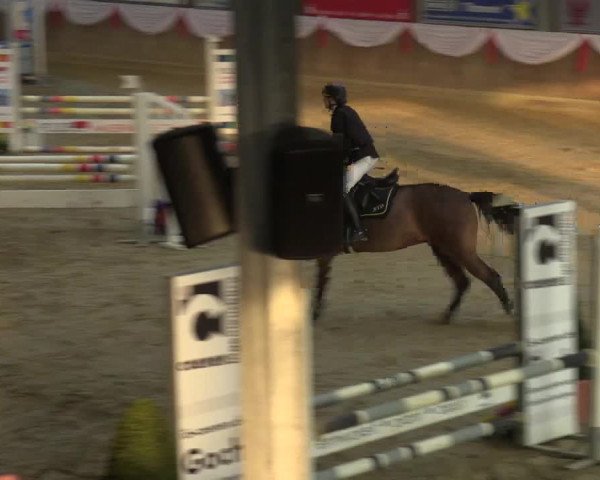 Reitturnier Goch 2016