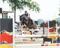 jumper Citou (Holsteiner, 2001, from Clinton I)