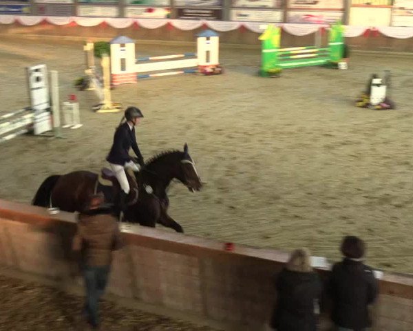 Reitturnier Goch 2016