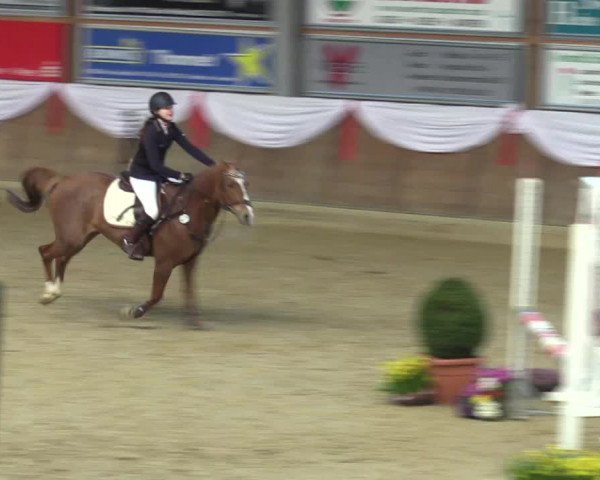 Reitturnier Goch 2016