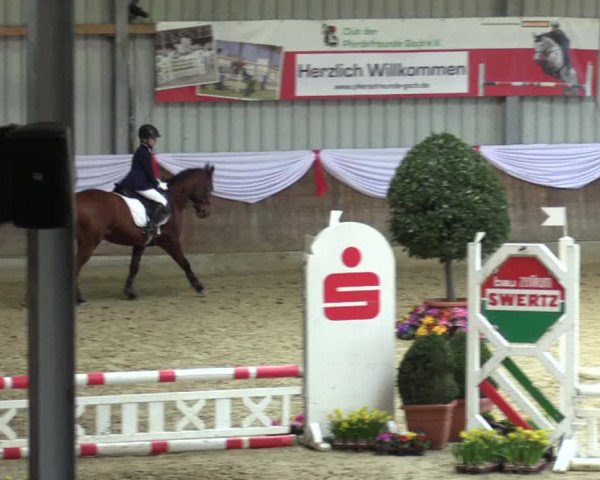 Reitturnier Goch 2016
