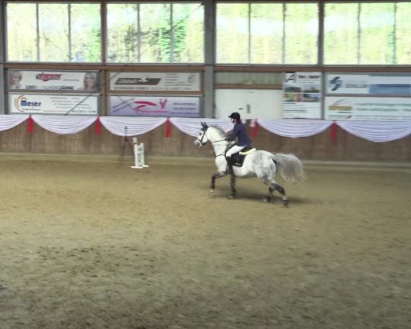 Reitturnier Goch 2016