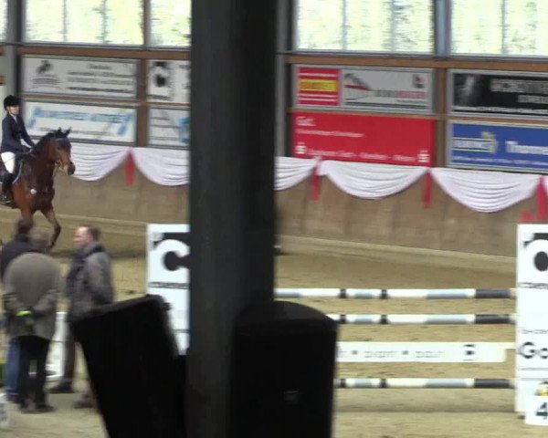 Reitturnier Goch 2016