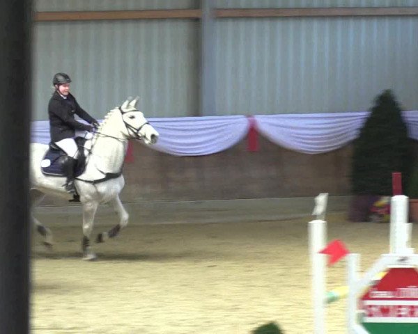 Reitturnier Goch 2016