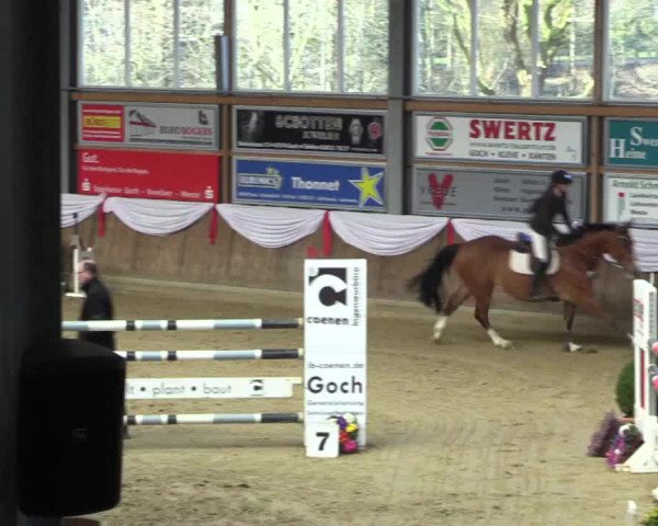 Reitturnier Goch 2016