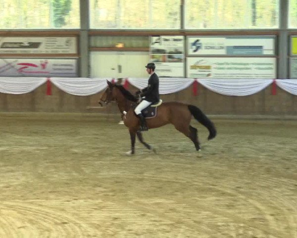 Reitturnier Goch 2016
