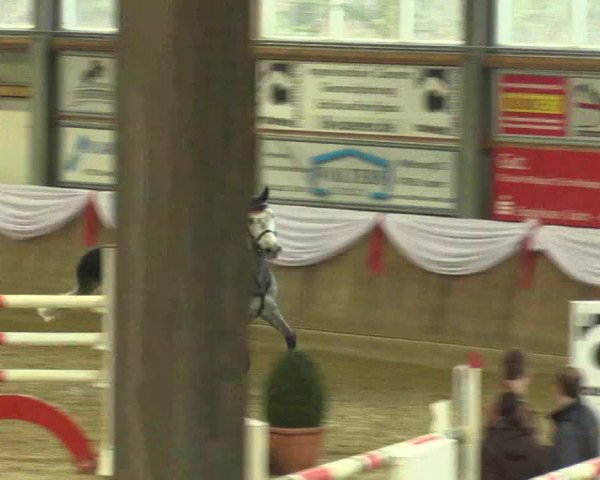 Reitturnier Goch 2016