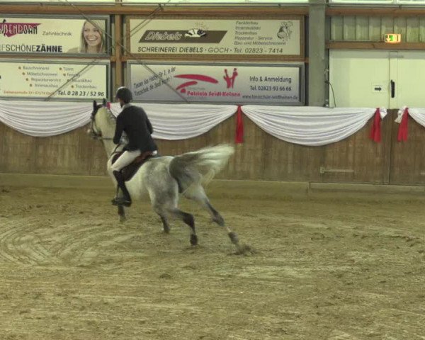 Reitturnier Goch 2016