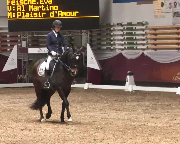 Dressurturnier Eicherloh - Laurent 2016