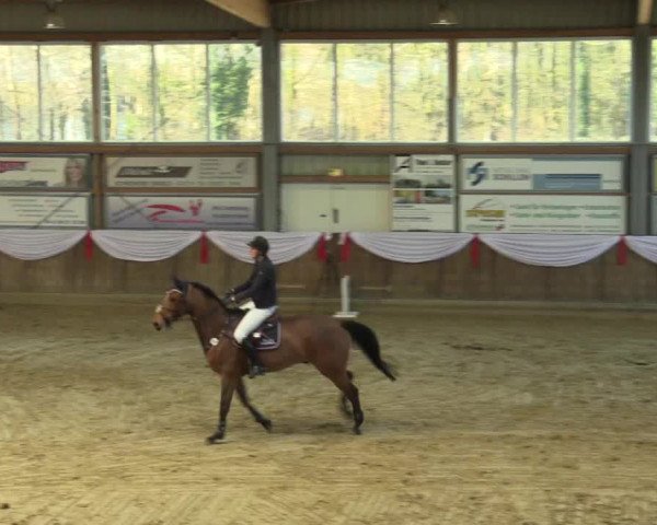 Reitturnier Goch 2016