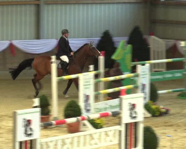 Reitturnier Goch 2016