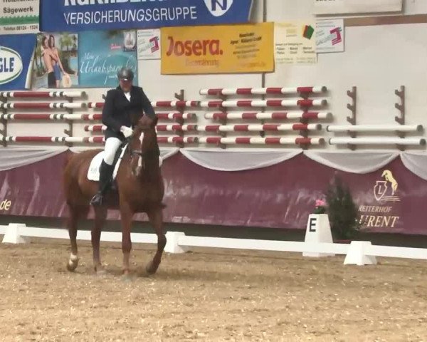 Dressurturnier Eicherloh - Laurent 2016