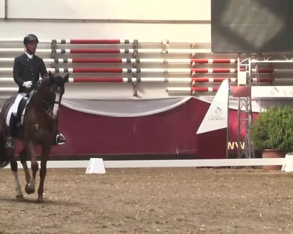 Dressurturnier Eicherloh - Laurent 2016