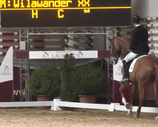 Dressurturnier Eicherloh - Laurent 2016