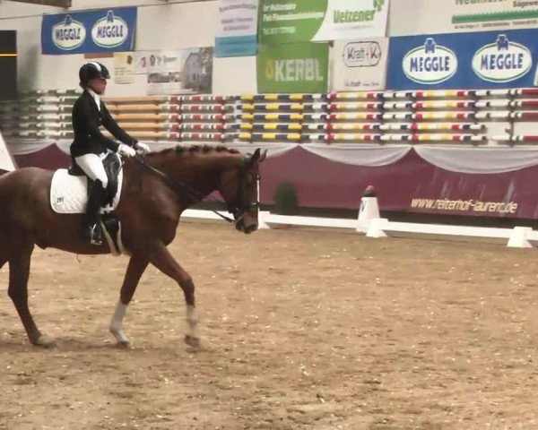 Dressurturnier Eicherloh - Laurent 2016