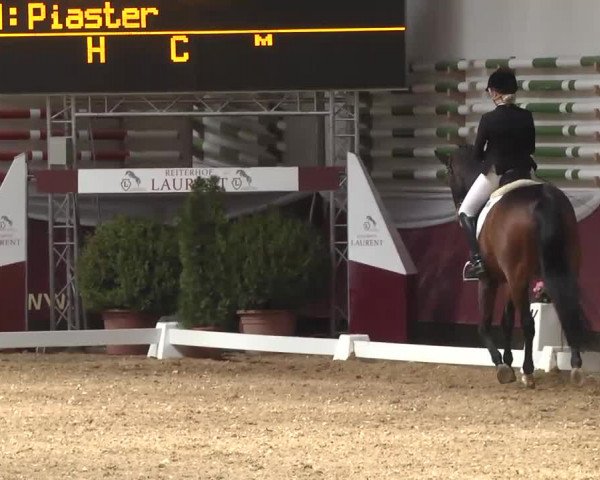 Dressurturnier Eicherloh - Laurent 2016