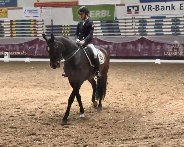Dressurturnier Eicherloh - Laurent 2016