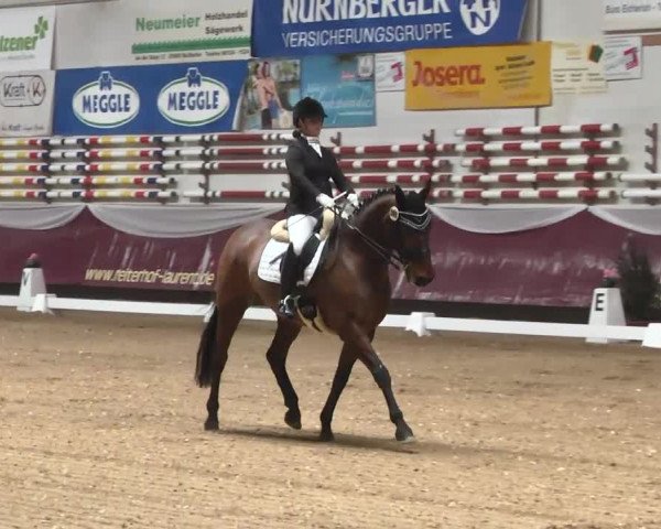 Dressurturnier Eicherloh - Laurent 2016
