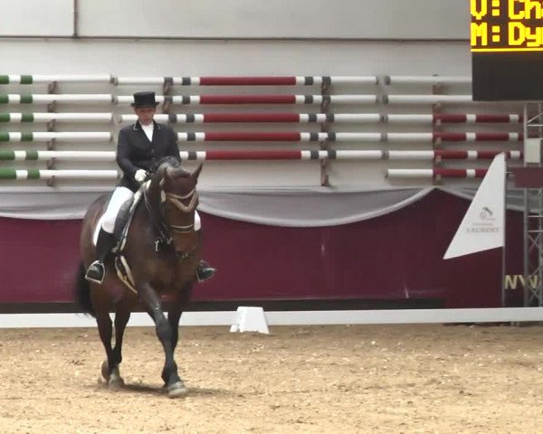 Dressurturnier Eicherloh - Laurent 2016