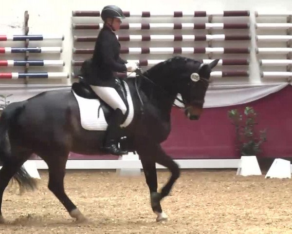 Dressurturnier Eicherloh - Laurent 2016