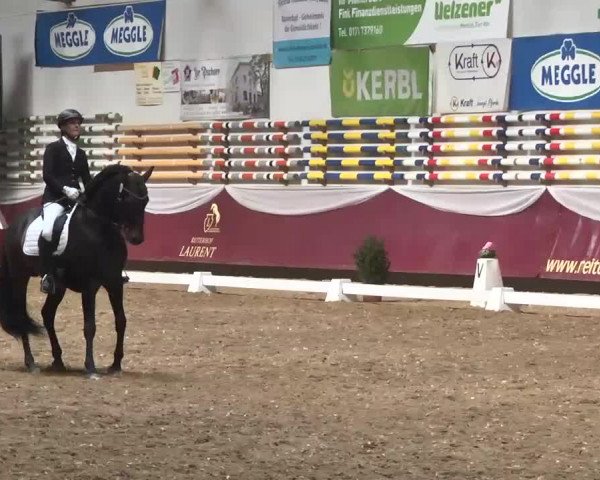 Dressurturnier Eicherloh - Laurent 2016