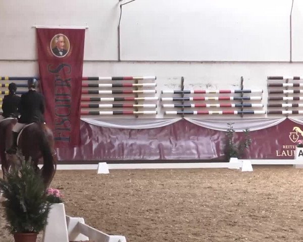 Dressurturnier Eicherloh - Laurent 2016