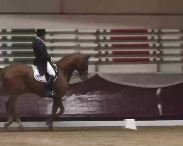 Dressurturnier Eicherloh - Laurent 2016
