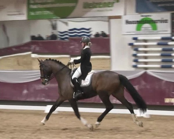 Dressurturnier Eicherloh - Laurent 2016