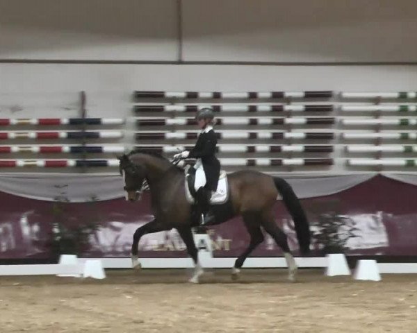 Dressurturnier Eicherloh - Laurent 2016